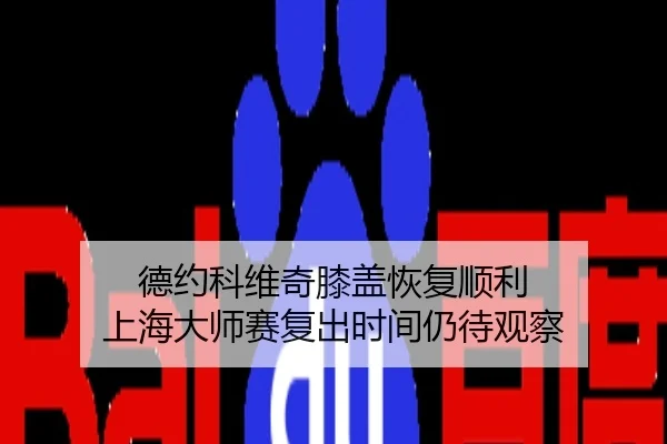 德约科维奇膝盖恢复顺利 上海大师赛复出时间仍待观察